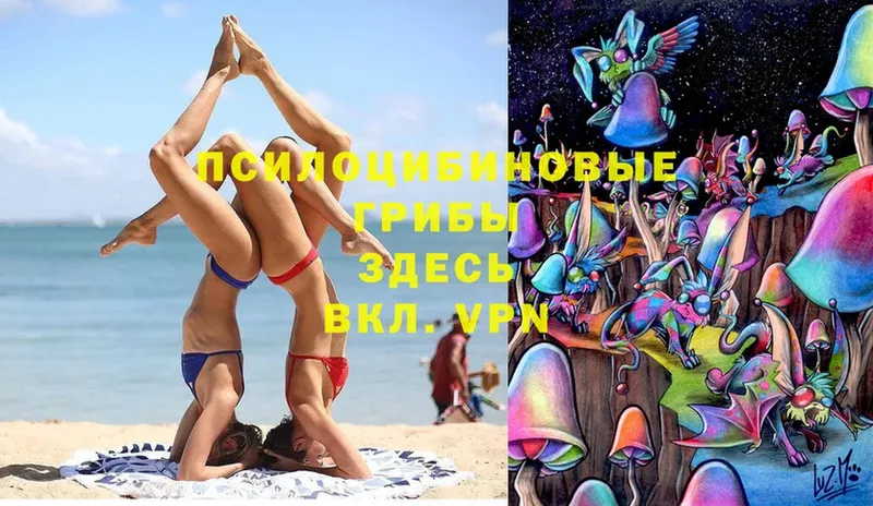 Псилоцибиновые грибы Magic Shrooms  где продают   Лебедянь 